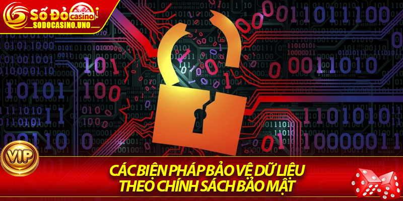 Các Biện Pháp Bảo Vệ Dữ Liệu Theo Chính Sách Bảo Mật 