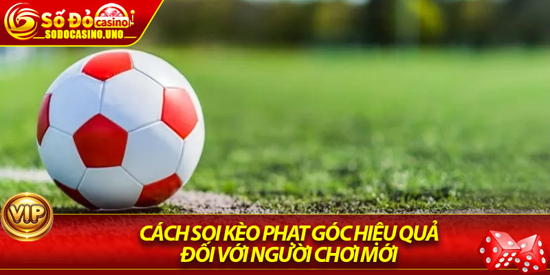 Cách soi kèo phạt góc hiệu quả đối với người chơi mới 
