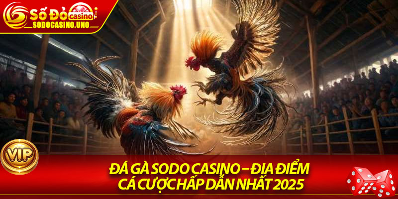 Đá Gà Sodo Casino – Địa Điểm Cá Cược Hấp Dẫn Nhất 2025