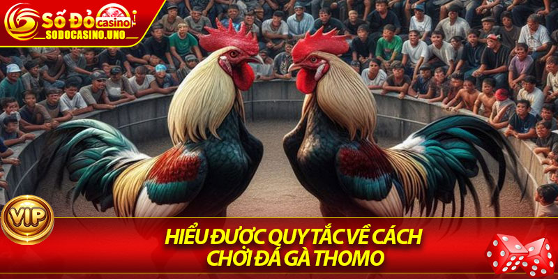 Hiểu được quy tắc về cách chơi đá gà Thomo