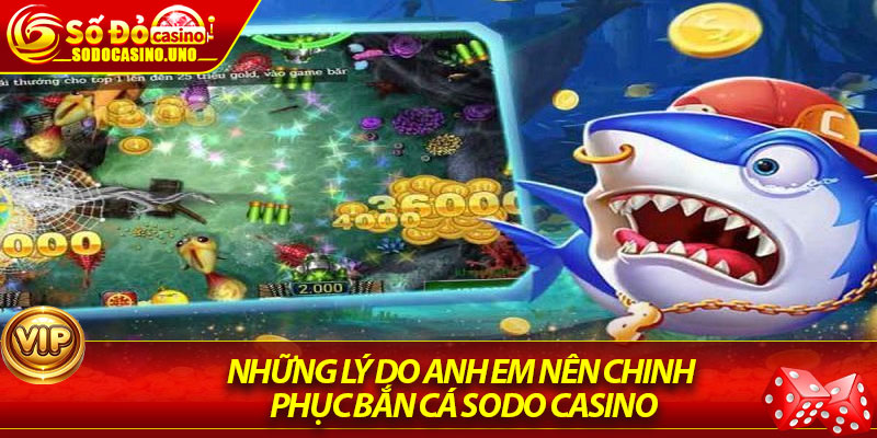 Những Lý Do Anh Em Nên Chinh Phục Bắn Cá Sodo Casino