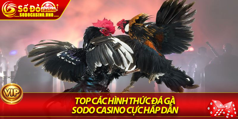 Top các hình thức đá gà Sodo Casino cực hấp dẫn 